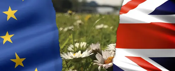 EIA Brexit
