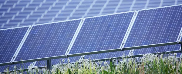Tipping the balance for green energy in the Green Belt