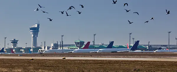 Safely landed? Is the current aerodrome safeguarding process fit for purpose?