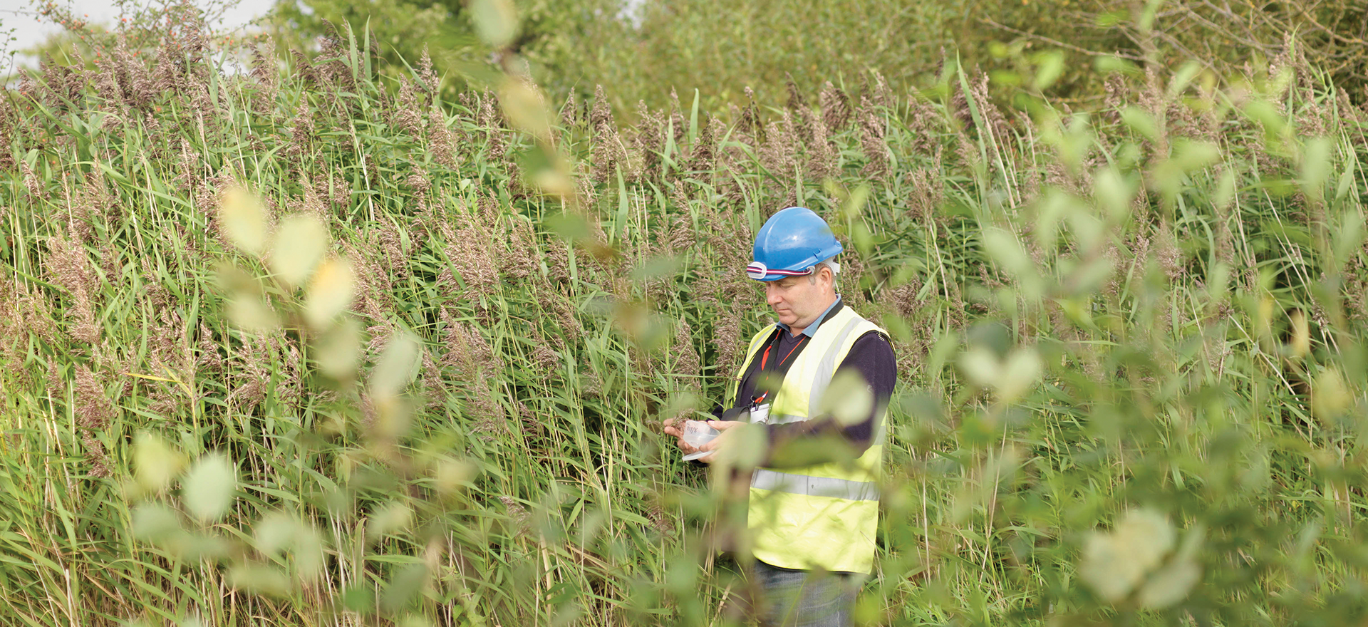 Mitigation Matters for EIA Screening