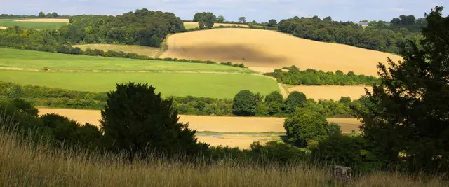 What next in Chiltern & South Bucks Local Plan chaos?