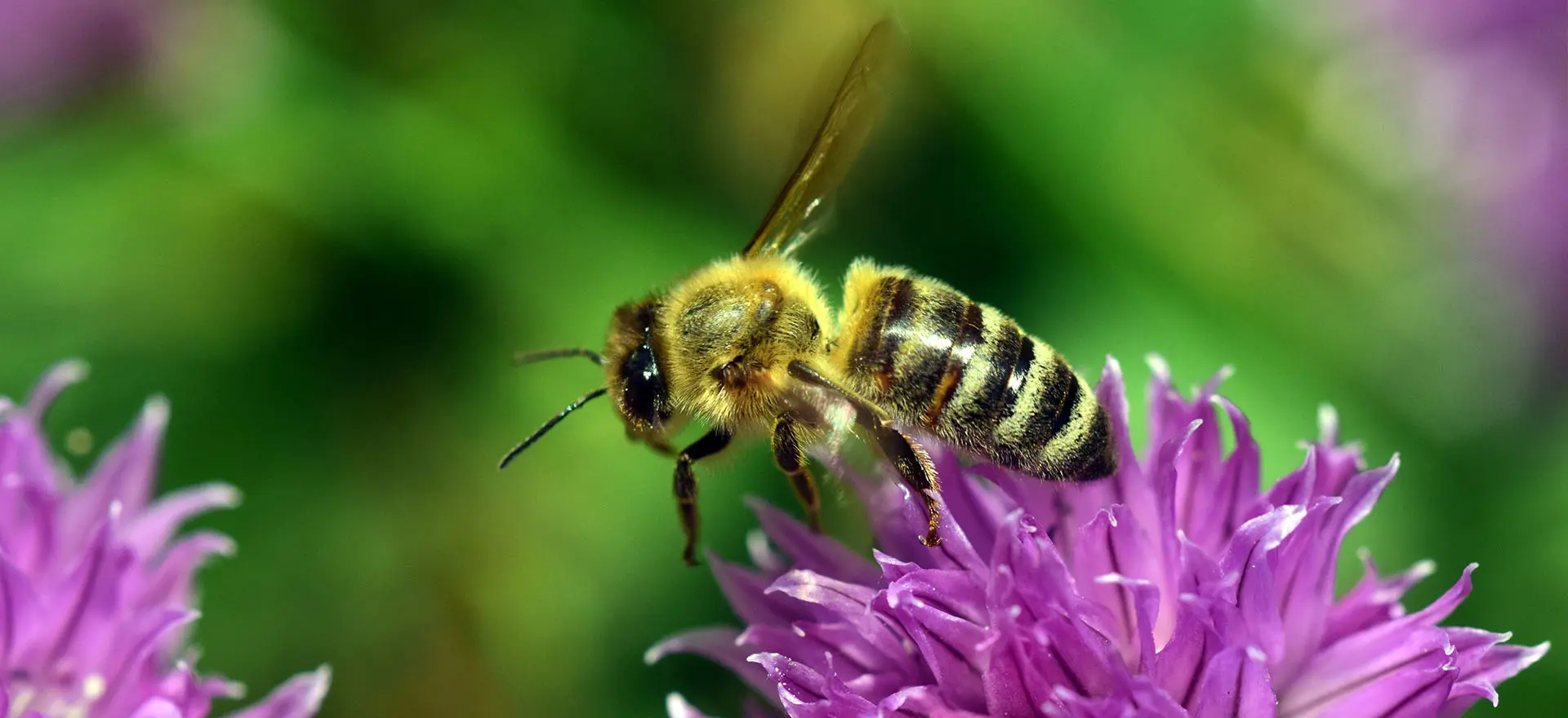 Under Review: Considering the Government’s Consultation on Environmental Outcomes Reports