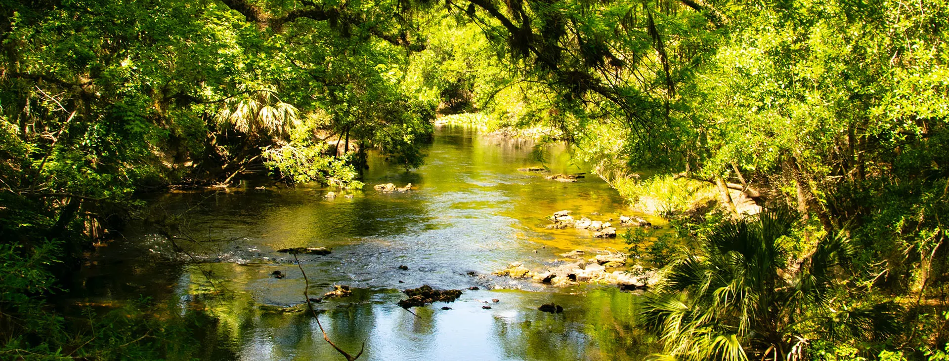 Nutrient Neutrality Update for the Tees Catchment: A Way Forward?