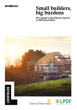 Download Small builders, big burdens