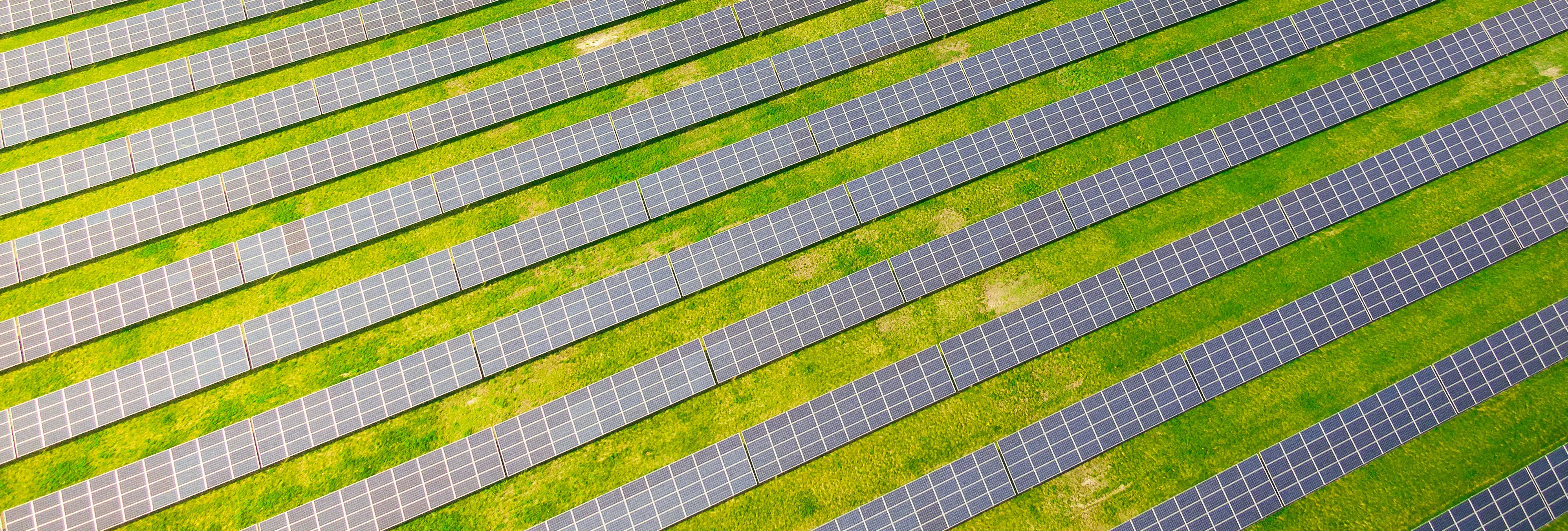 Grey Belt and Renewable Energy 